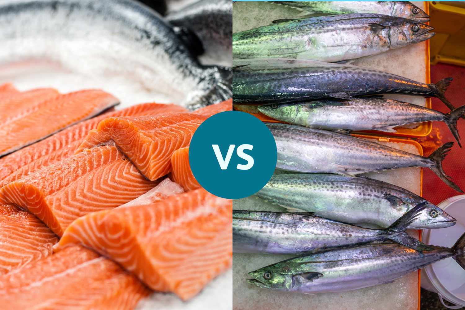 Salmon vs. Mackerel: Which Fatty Fish Is Healthier?