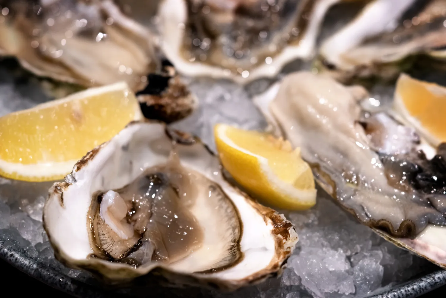 Fresh oysters on a plate.