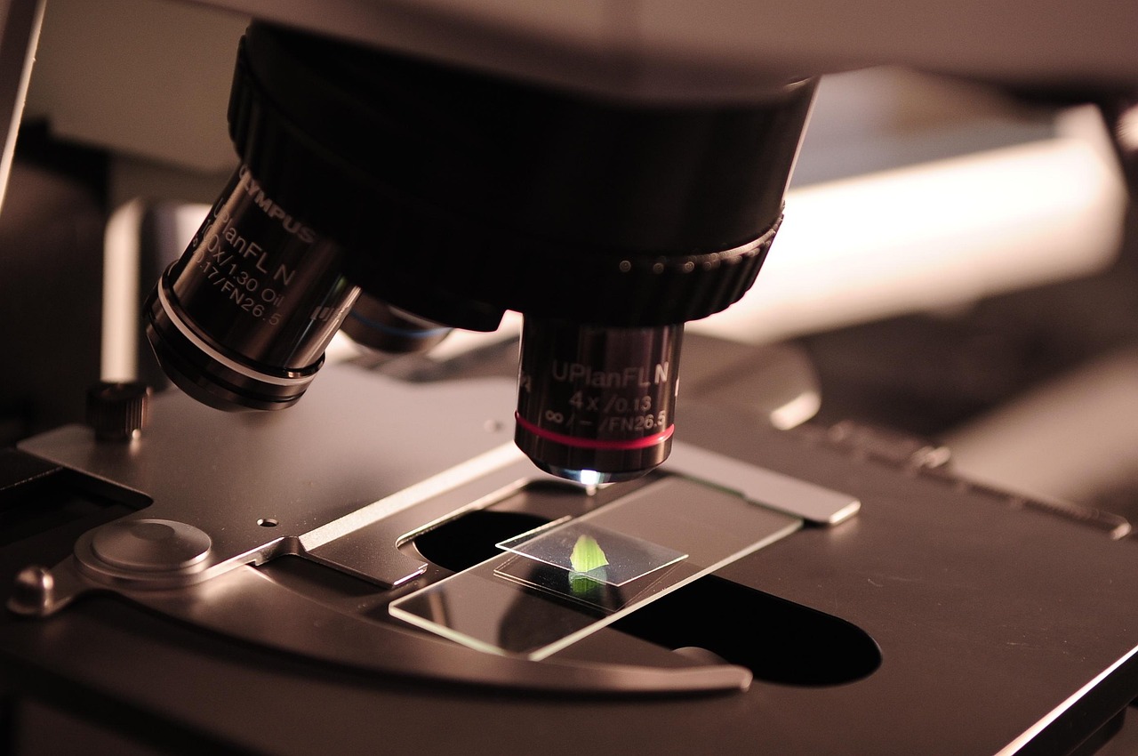 A scientist in a clean laboratory conducting quality control and heavy metal screening.