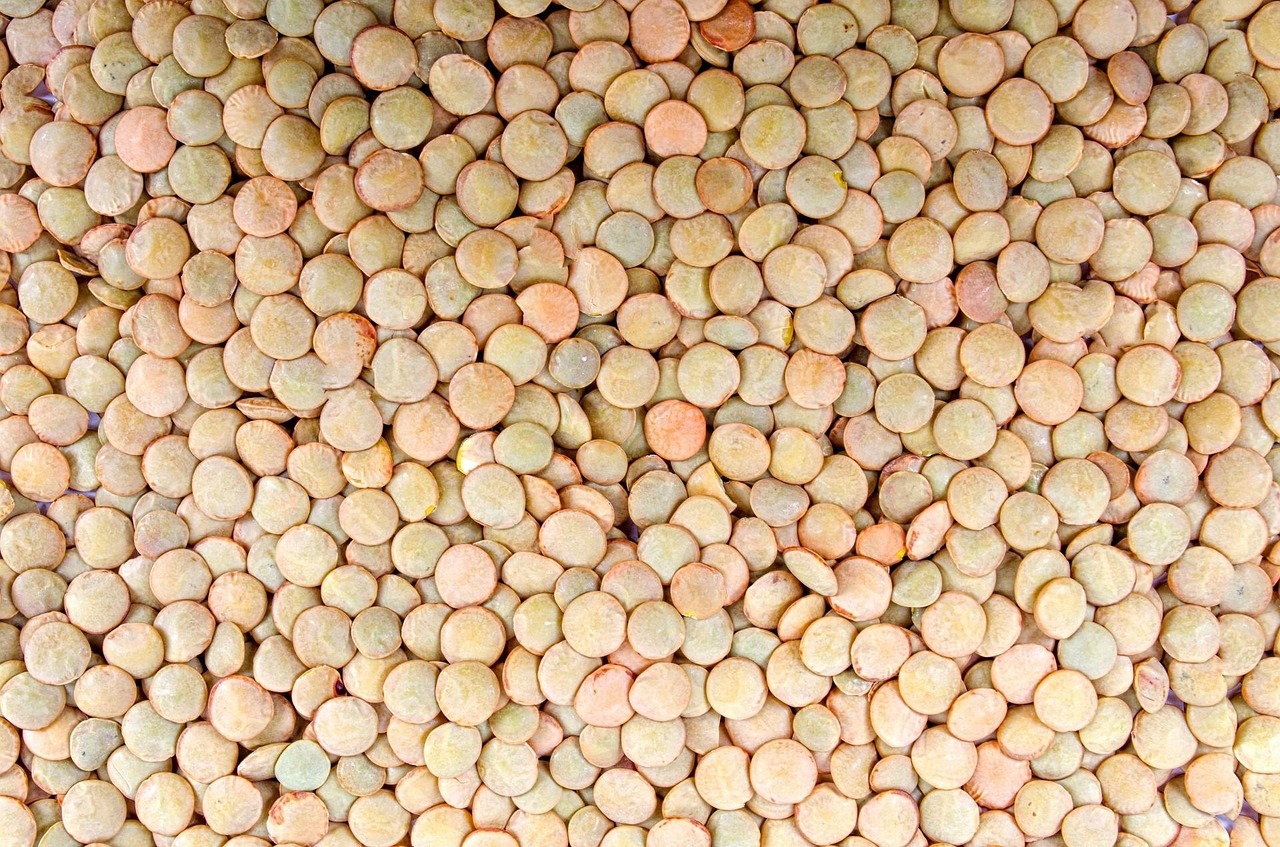 A variety of raw legumes and grains showing the source of phytates