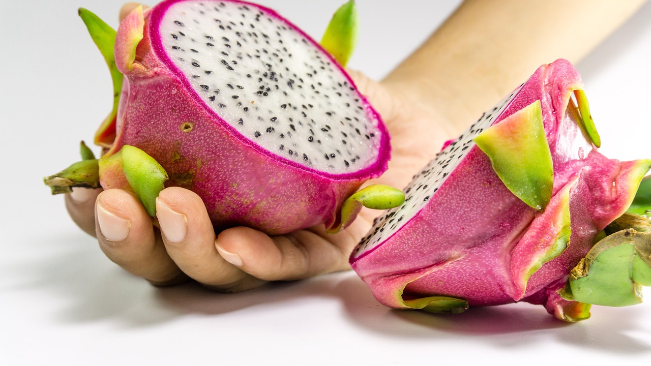 Improve Nutrient Absorption for Better Gut Health