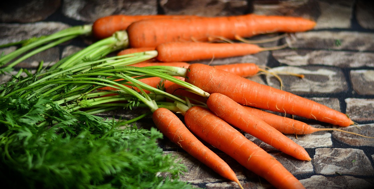 Raw lupin or chocho seeds, an easily digestible plant-based protein alternative.
