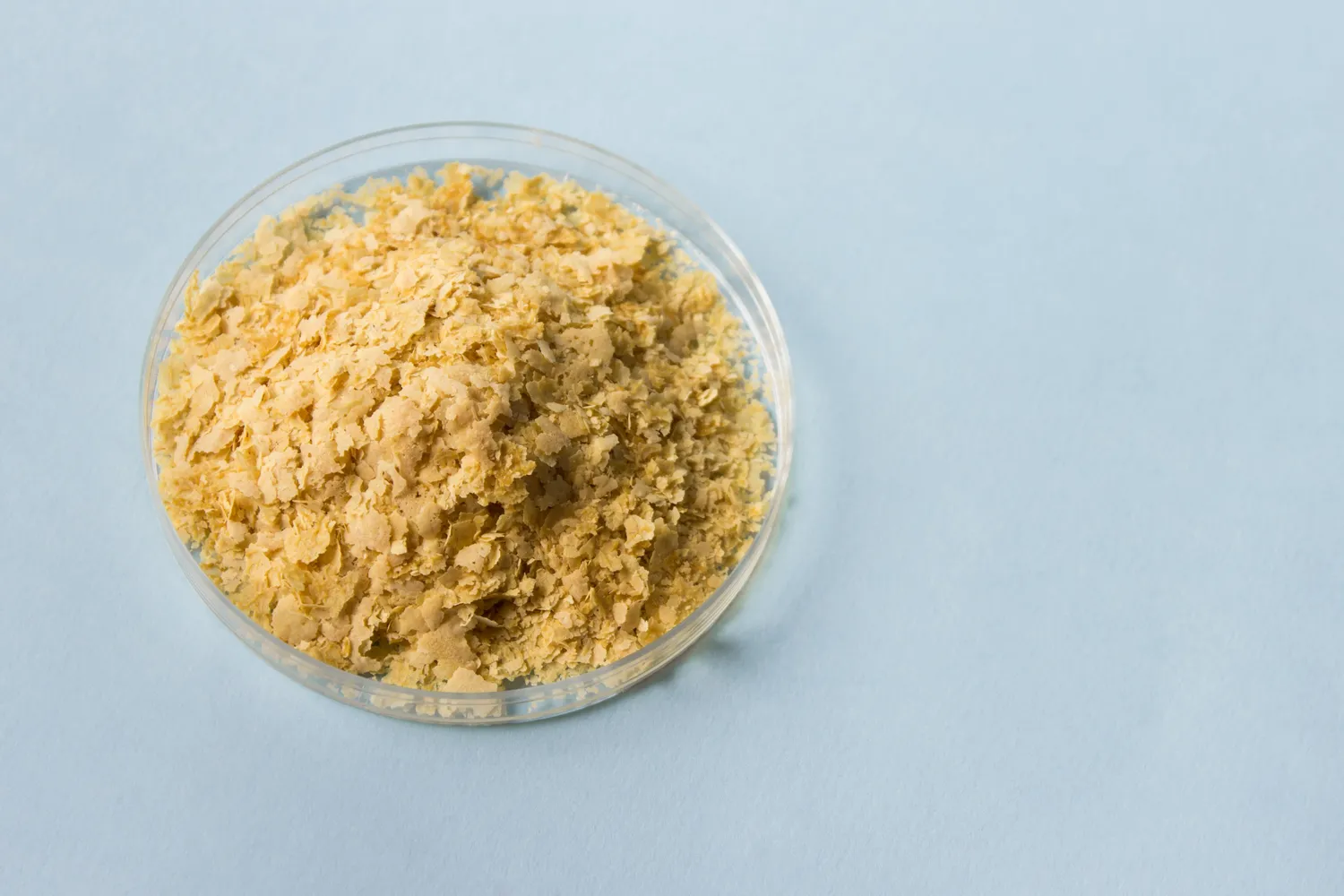 A bowl of nutritional yeast flakes.