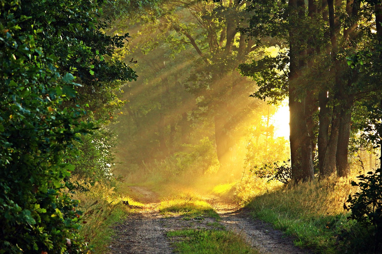Beyond Supplements: A Holistic Health Approach
