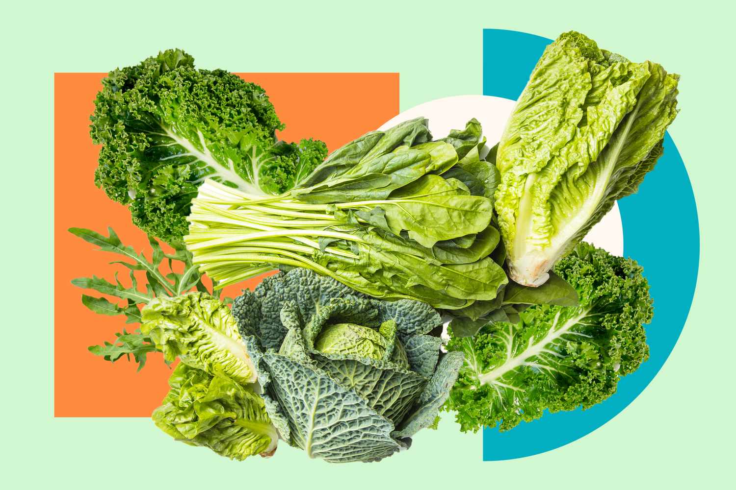 Close-up of fresh kale, spinach, and collard greens.